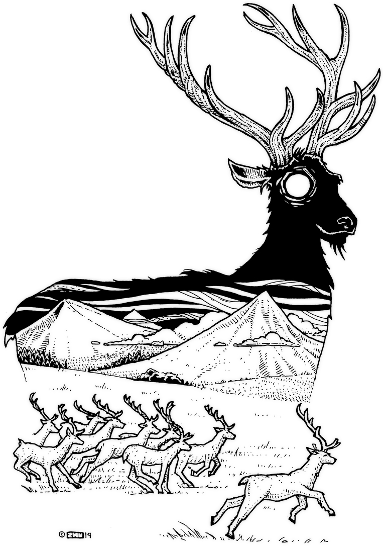 "In the short grass of the spreading plain, there is a herd of elk. How to shoot the Elk of Elks?" © Dave Needham